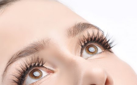 Cómo encontrar extensiones de pestañas de buena calidad para un nuevo estilista de pestañas